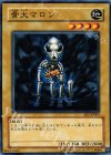  EE3-JP003 N 骨犬マロン 
