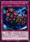 EP16-JP037 N バージェストマ・エルドニア 
