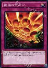  EP16-JP048 N 絶滅の定め 