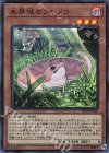  EP19-JP028 SR 未界域のツチノコ 