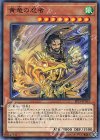  EP19-JP054 N 黄竜の忍者 