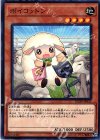  FLOD-JP035 NR ボイコットン 