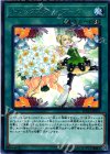  FLOD-JP055 R トリックスター・ブーケ 