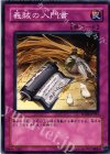  FOTB-JP053 N 義賊の入門書 
