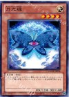  GAOV-JP014 N 月光蝶 