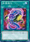 GAOV-JP058 N 多様進化