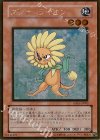 GS01-JP002 GR ダンディライオン
