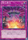 GS06-JP016 N 強化蘇生 