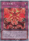  HC01-JP020 PSE 大いなる魂 