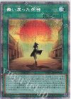 HC01-JP021 PSE 舞い戻った死神