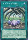 IMPH-JP056 N 無死なる竜の鼓動