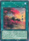 IMPH-JP071 NR 秋