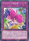 IMPH-JP074 N アマゾネス救出劇