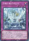 IMPH-JP077 N 白鴉の魔女の光彩