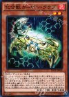  INOV-JP024 N 化合獣カーボン・クラブ 