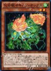  INOV-JP025 N 化合獣オキシン・オックス 