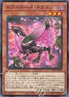  LIOV-JP009 R ロクスローズ・ドラゴン 