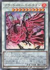LIOV-JP035 UL ブラッド・ローズ・ドラゴン