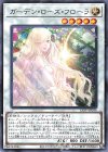  LIOV-JP036 R ガーデン・ローズ・フローラ 