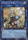  LIOV-JP049 SR 照耀の光霊使いライナ 