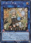 LIOV-JP049 SE 照耀の光霊使いライナ