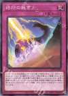 LIOV-JP069 N 烙印の裁き