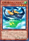  LTGY-JP024 N 幻獣機レイステイルス 