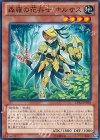  LVAL-JP018 N 森羅の花卉士 ナルサス 