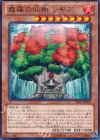  LVAL-JP020 R 森羅の仙樹 レギア 