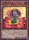  LVAL-JP039 SR 紅姫チルビメ 