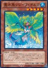  LVAL-JP041 N 霊水鳥シレーヌ・オルカ 