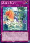  LVAL-JP073 N 森羅の恵み 