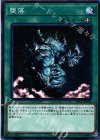  LVP1-JP005 N 堕落 