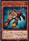  LVP1-JP009 N スレイブタイガー 