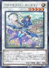  LVP3-JP042 R アロマセラフィ-ローズマリー 
