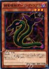  MACR-JP010 N 捕食植物ダーリング・コブラ 