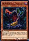  MACR-JP011 N 捕食植物コーディセップス 