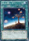  ORCS-JP052 N 星に願いを 