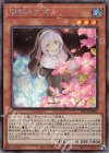  PAC1-JP018 SE 儚無みずき（イラスト違い版） 