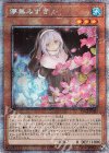 PAC1-JP018 PSE 儚無みずき（イラスト違い版）