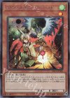 PAC1-JP026 SE ドロール&ロックバード