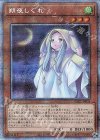 PAC1-JP035 PSE 朔夜しぐれ