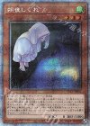 PAC1-JP035 PSE 朔夜しぐれ（イラスト違い版）