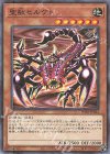 PGB1-JP024 M 聖獣セルケト