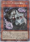  PHHY-JP009 PSE カオス・ウィッチ-混沌の魔女- 