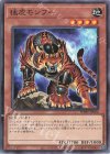  PHHY-JP024 N 猛虎モンフー 