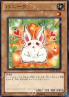 PHSW-JP001 N バニーラ