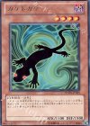 PHSW-JP005 R カゲトカゲ