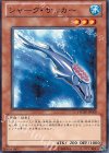PHSW-JP009 N シャーク・サッカー