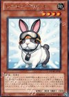 PHSW-JP037 R レスキューラビット